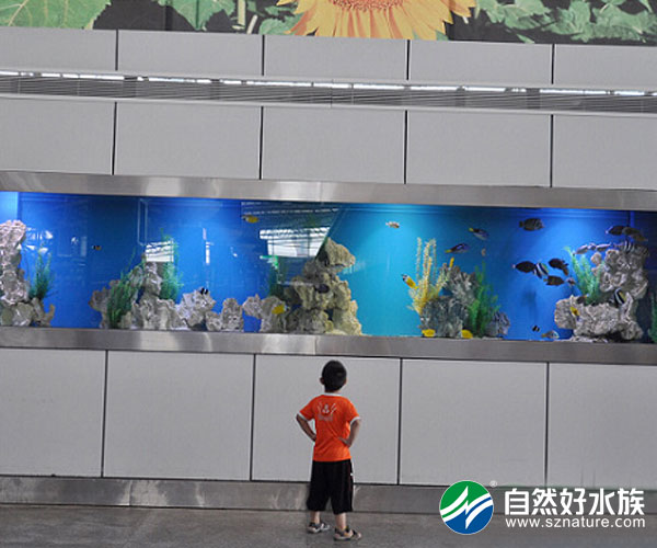 深圳宝安机场机场6米海水生态鱼缸